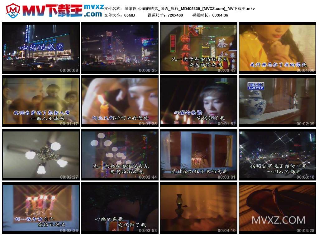 邰肇玫-心痛的感觉_国语_流行_MD405339